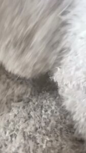 ŁKS Soła Łęki - zdjęcie z klubu